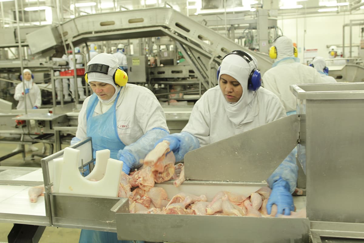 Sistemas automáticos de clasificación y corte de canales de pollo en planta