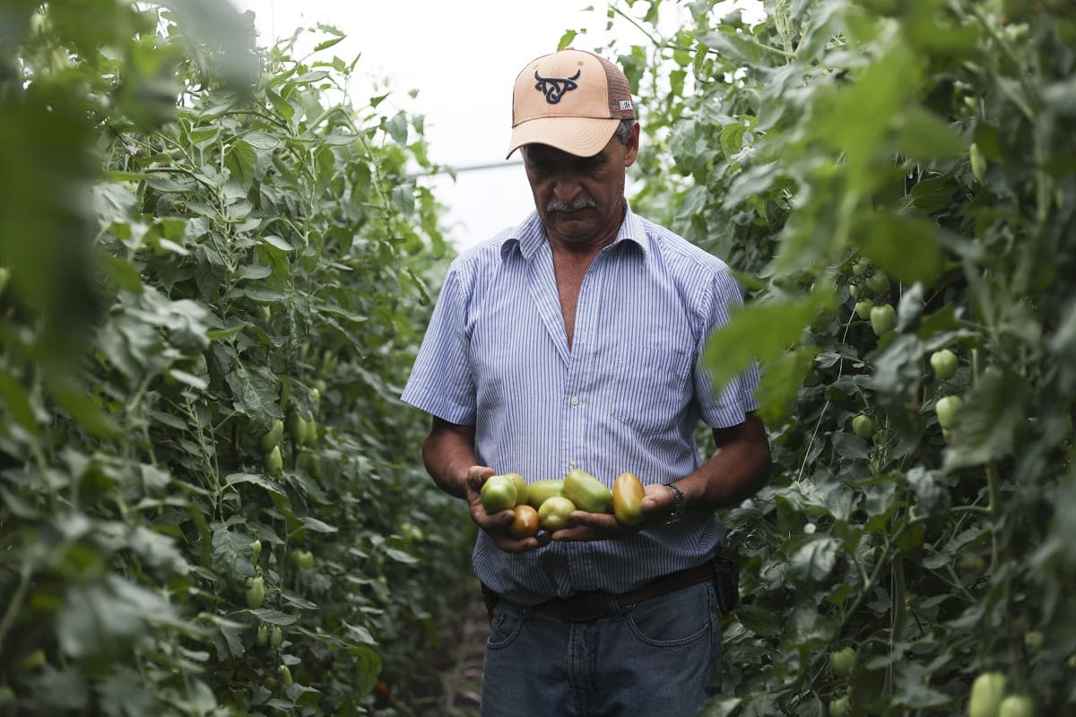 ONU: Es una "paradoja" que haya un "núcleo duro" de personas con hambre en Latinoamérica