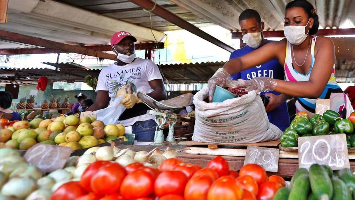 Los cubanos gastan más del 70% de sus ingresos en alimentación, según datos oficiales