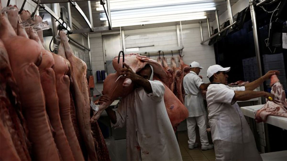 China habilita a 38 nuevas cárnicas brasileñas para exportar a ese país