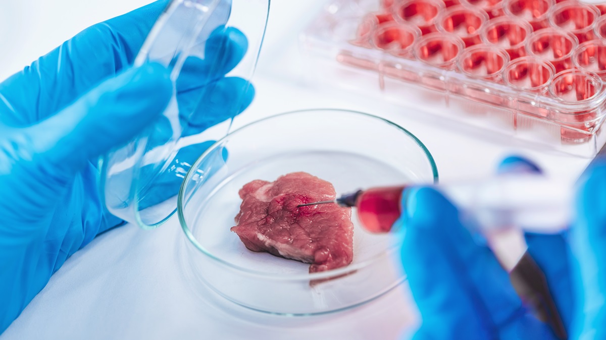 Garantizan la producción de carne cultivada con nuevas plantas de producción