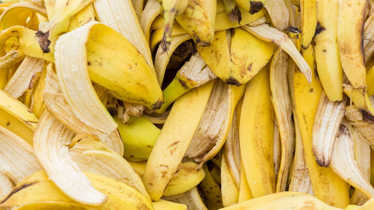 Crean película de embalaje de cáscara de plátano