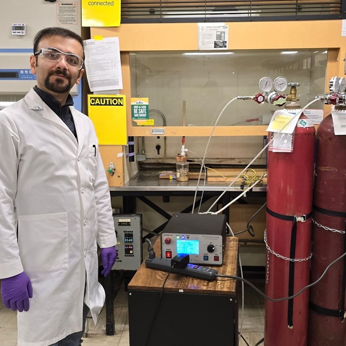 La técnica de plasma frío reforzaría la seguridad alimentaria y la germinación en trigo y cebada