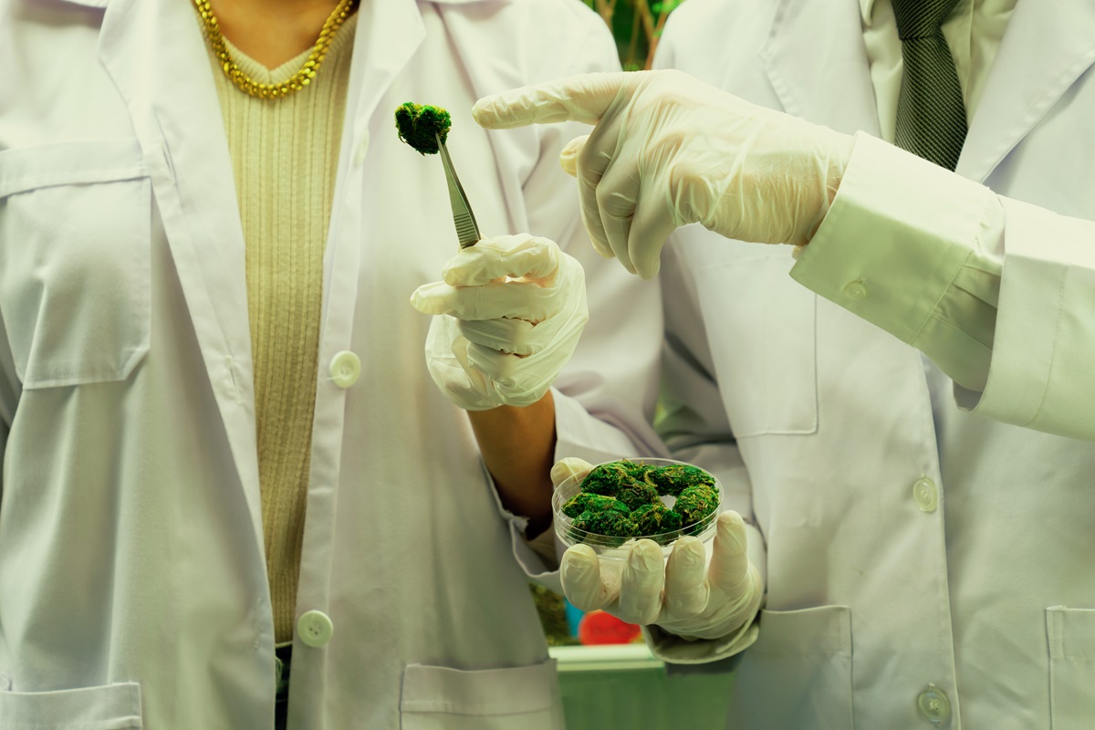 Innovan soluciones de proteínas alternativas en Brasil