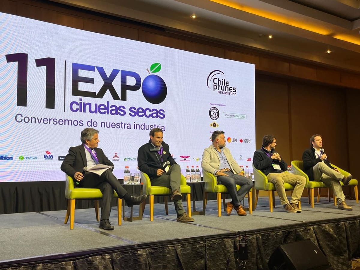 Instan a cuidar los mercados “clásicos” de la ciruela deshidratada