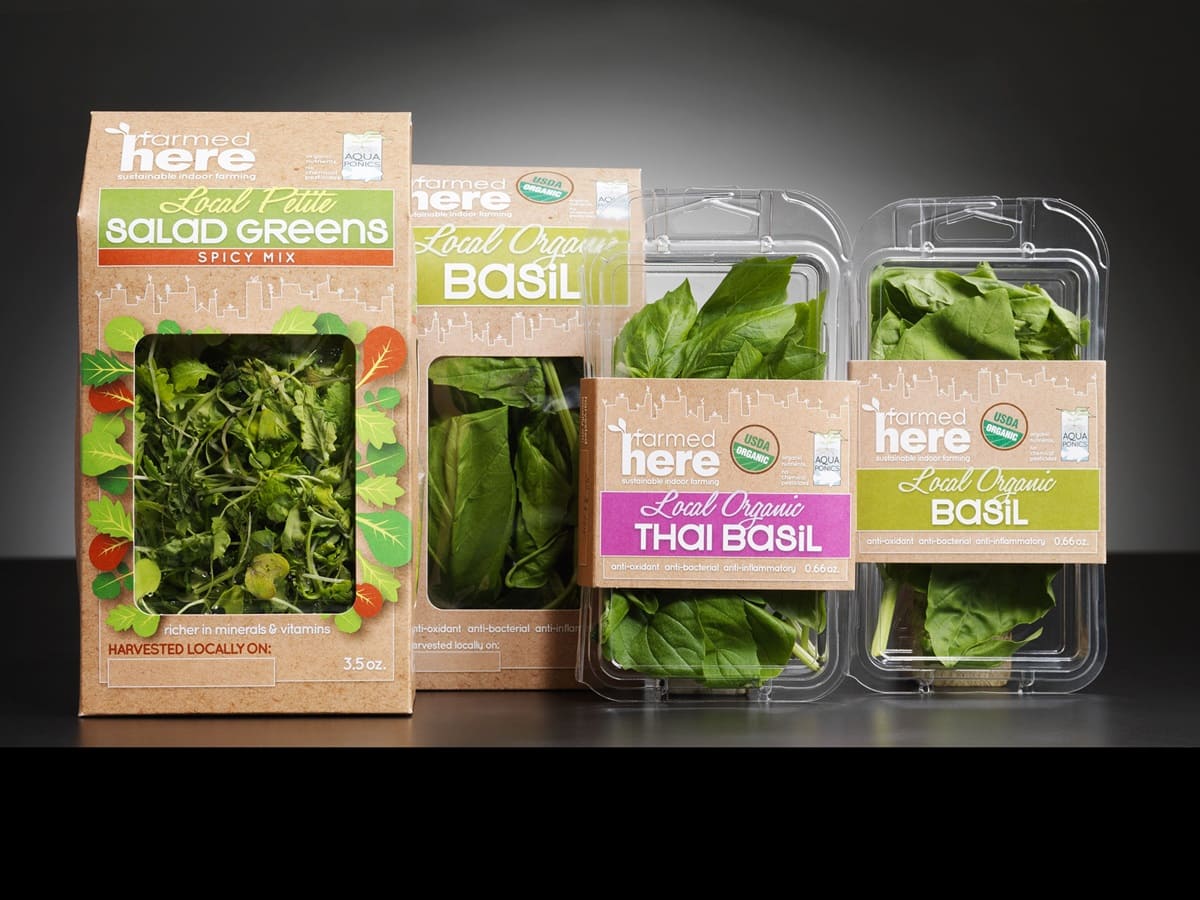 La sostenibilidad encabeza las tendencias del diseño de packaging 2024 de la WPO