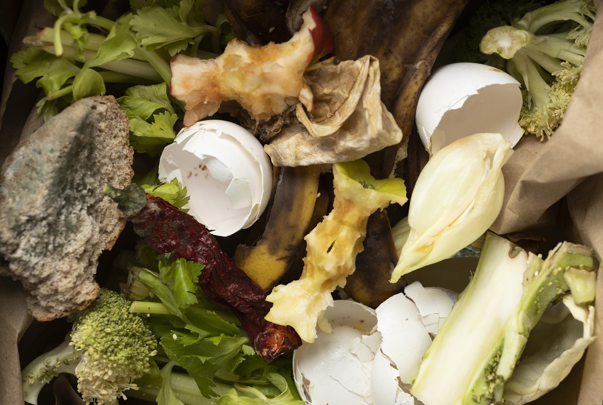 ¿Cuáles son los materiales biodegradables más utilizados en la elaboración de packaging alimentario?