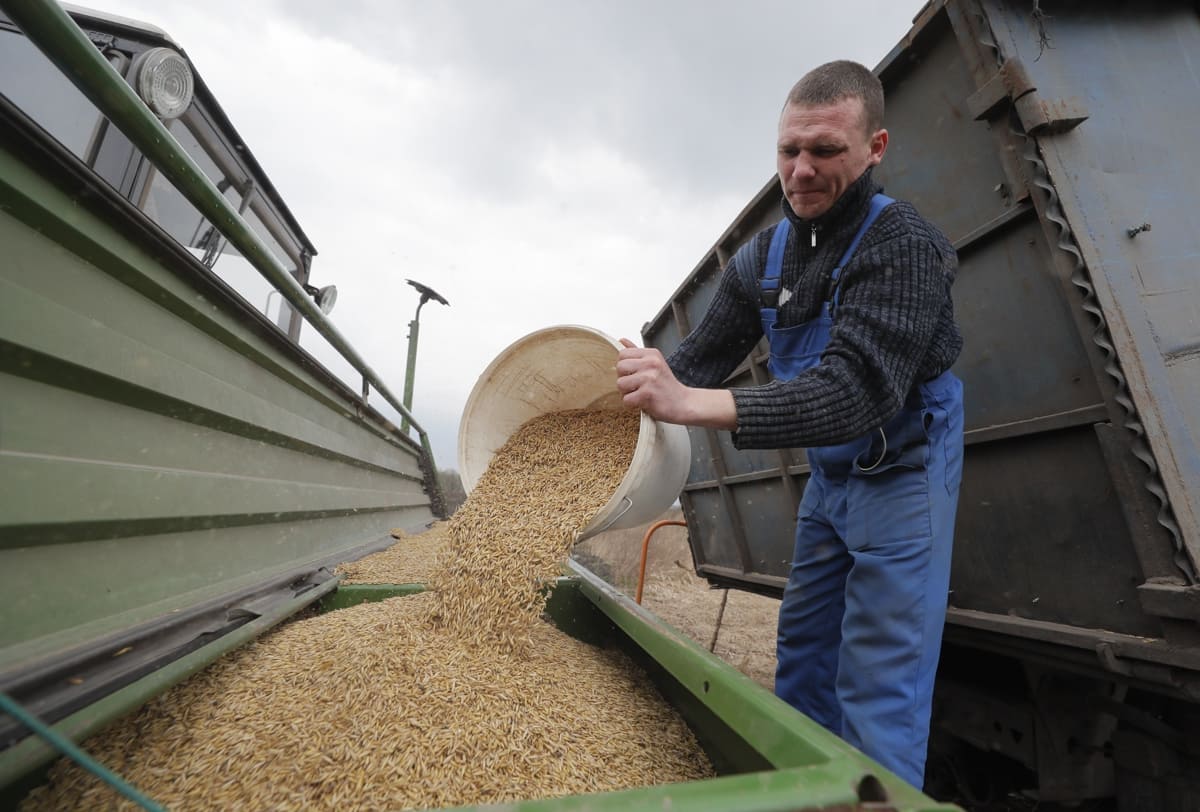 Exportaciones por corredor marítimo ucraniano superaron cifras de 'iniciativa del grano'
