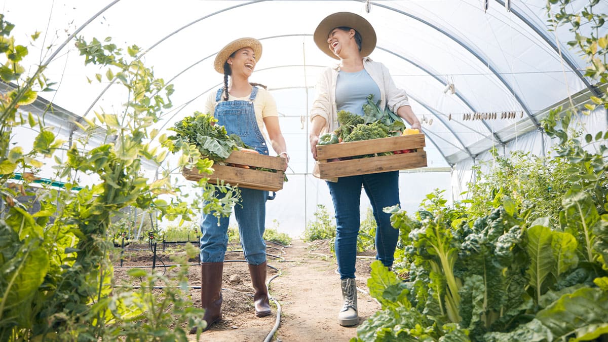 Innovación agroalimentaria: el reto de las empresas de alimentos
