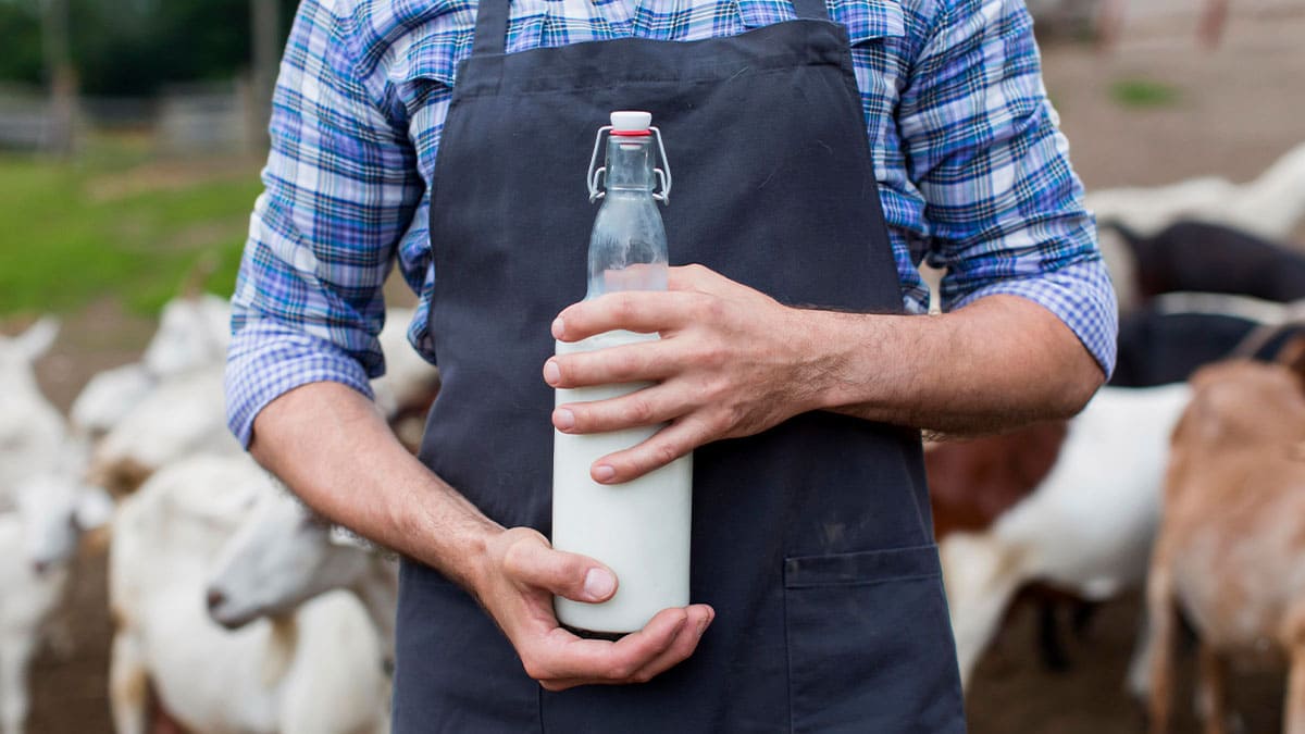 Evolución de la producción de leche en México: análisis en profundidad de las tendencias regionales y nacionales