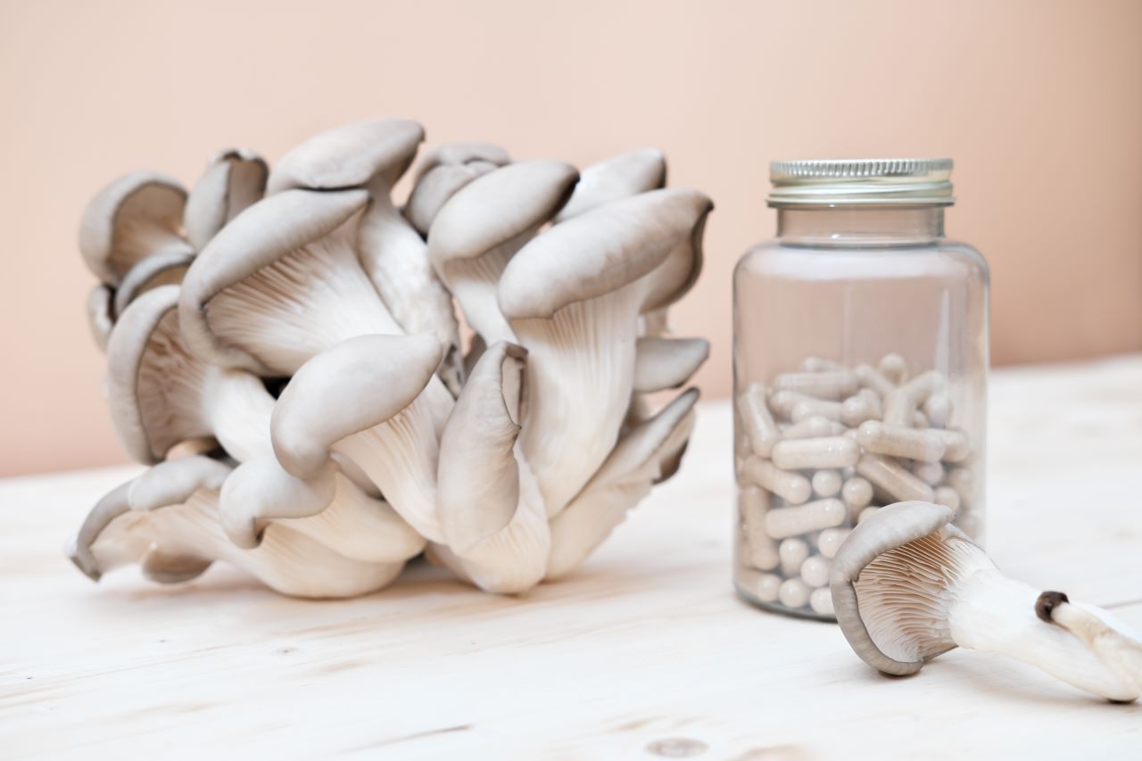 Levaduras y hongos: sus aplicaciones innovadoras en la producción de alimentos y bebidas