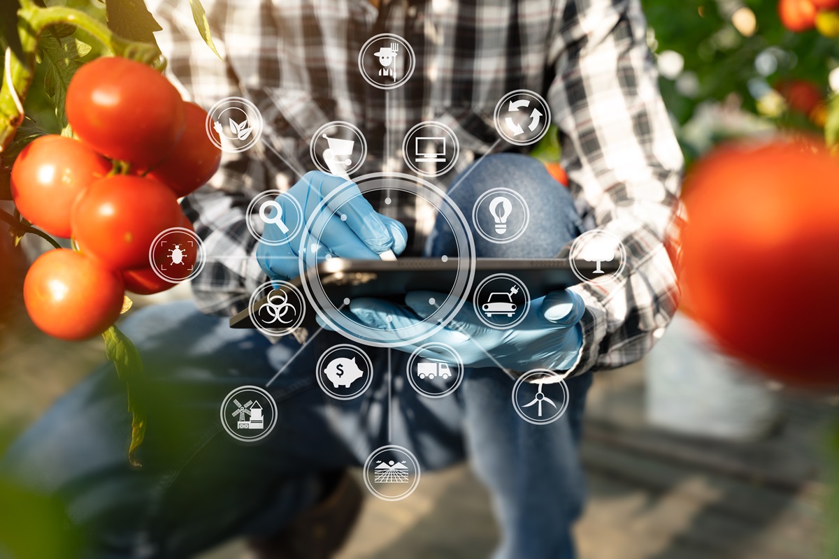 Inteligencia Artificial como herramienta para la higiene alimentaria