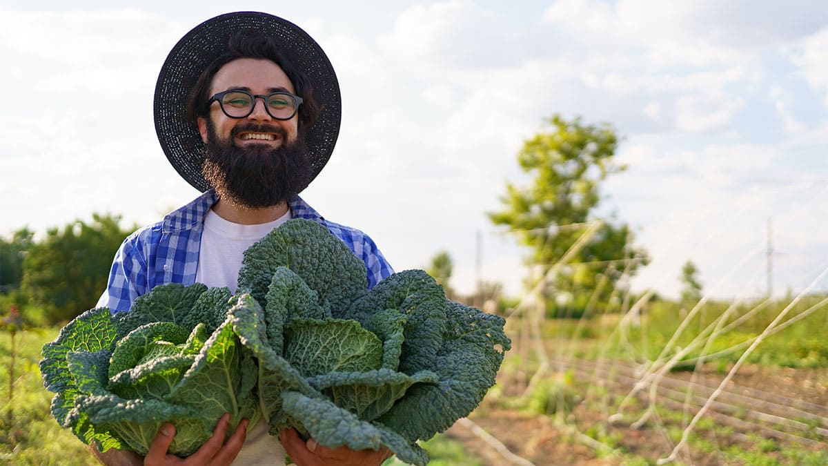 4 estrategias para mejorar el sistema agroalimentario en México