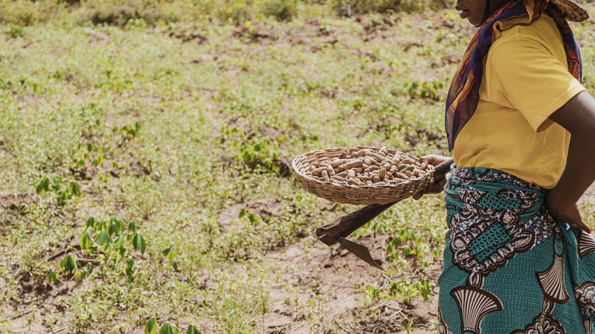 La FAO señala que los alimentos olvidados podrían mejorar la seguridad nutricional de África