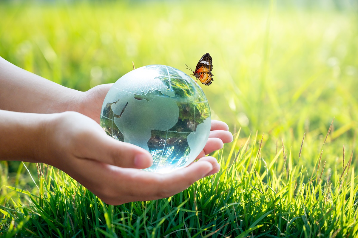 La biodiversidad es clave para el funcionamiento de los ecosistemas