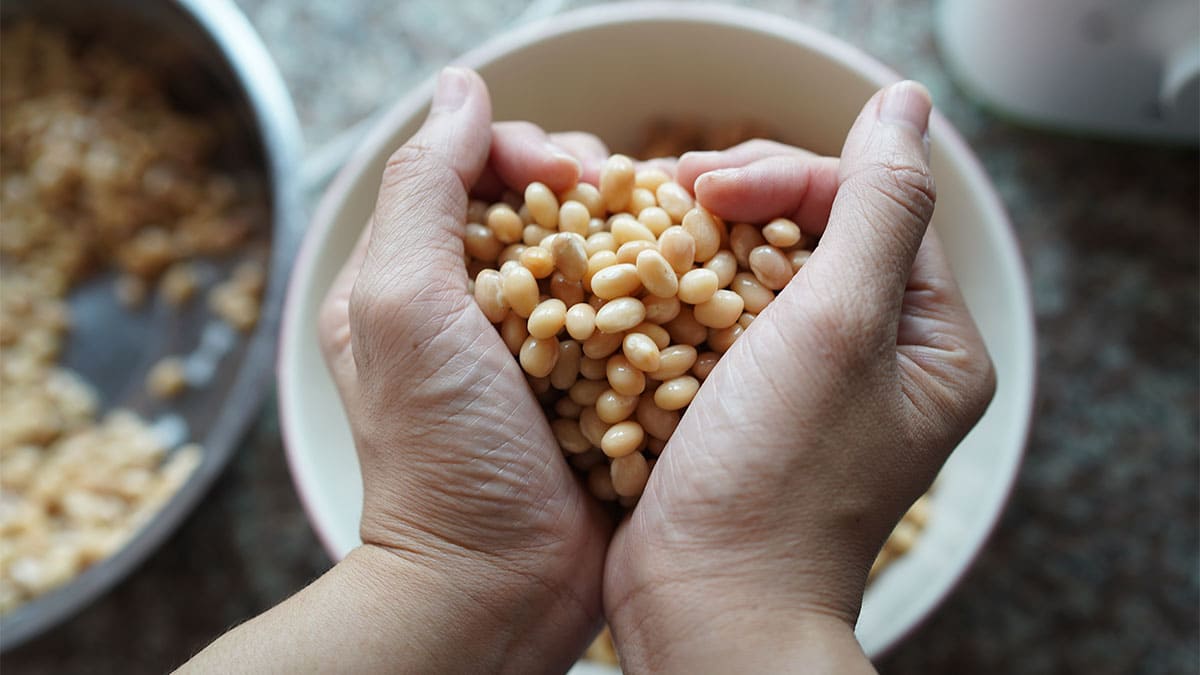 Proteínas vegetales contienen los nueve aminoácidos esenciales