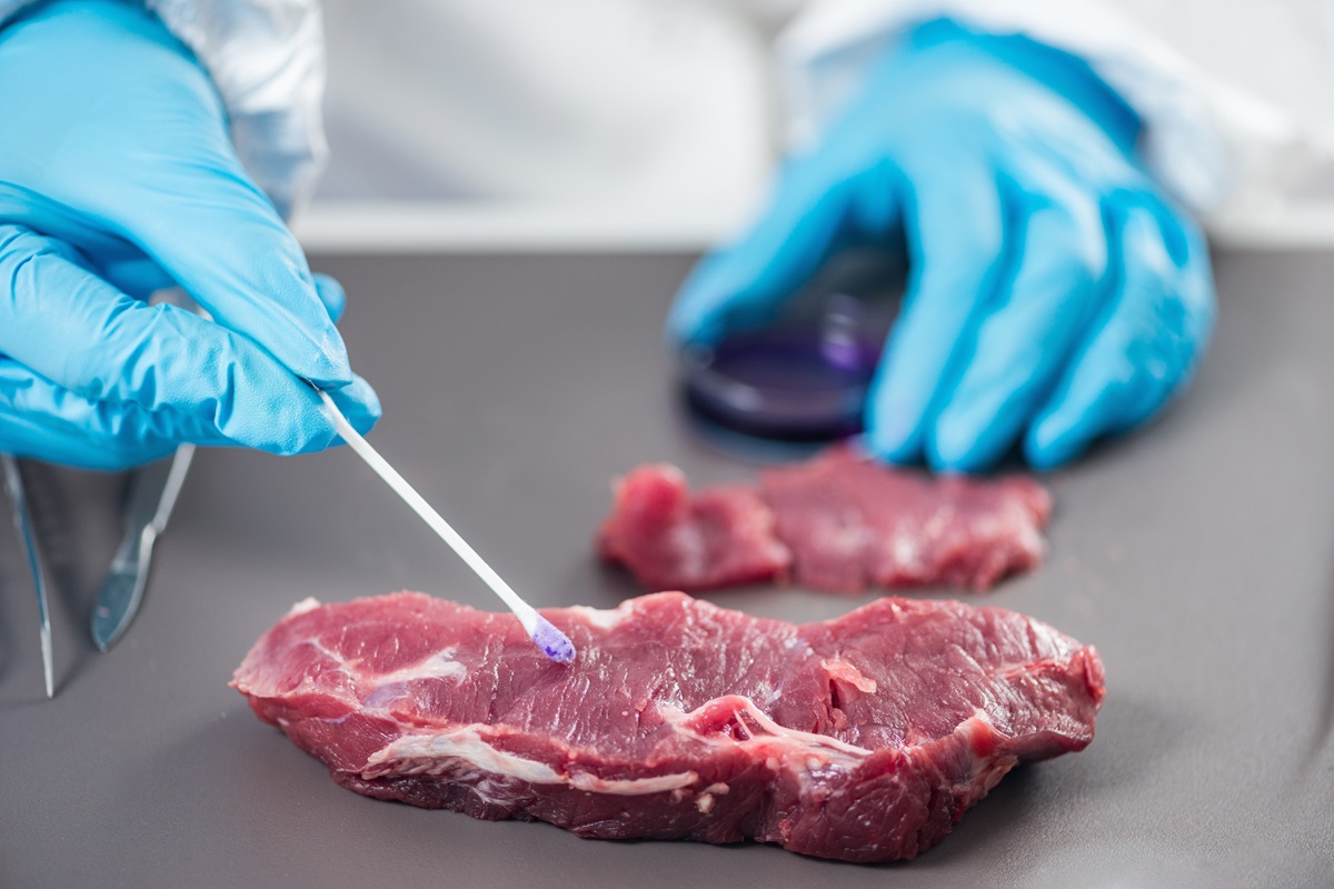 Estudio analiza respuesta sobre la carne cultivada en laboratorios de EE. UU