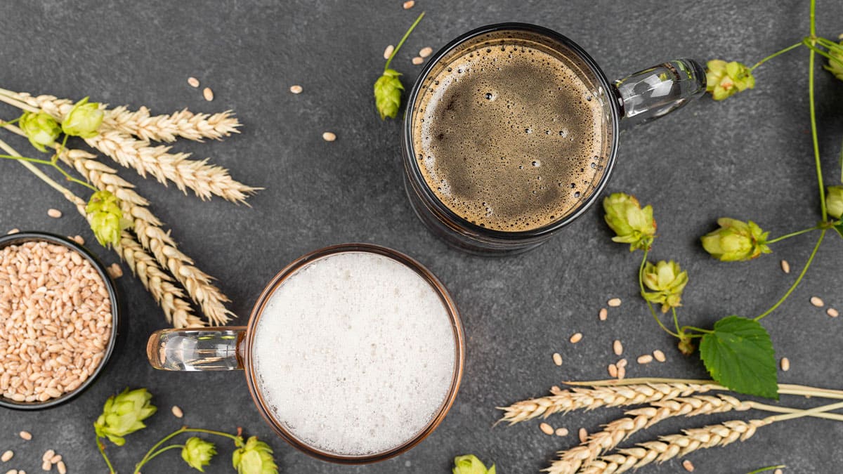 Alimentos proteicos de residuos de cerveza: Una alternativa sostenible