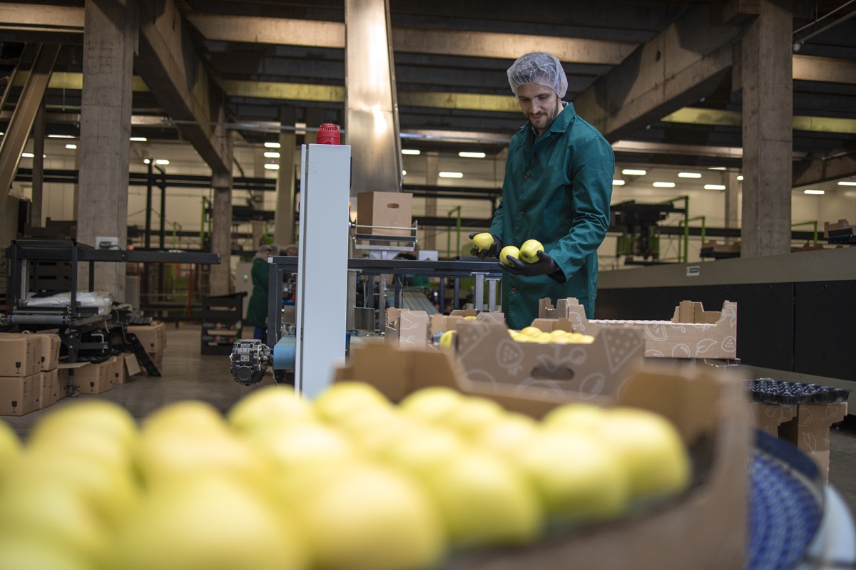 Las exportaciones españolas de alimentos crecen el 3.3 % en valor en el primer trimestre