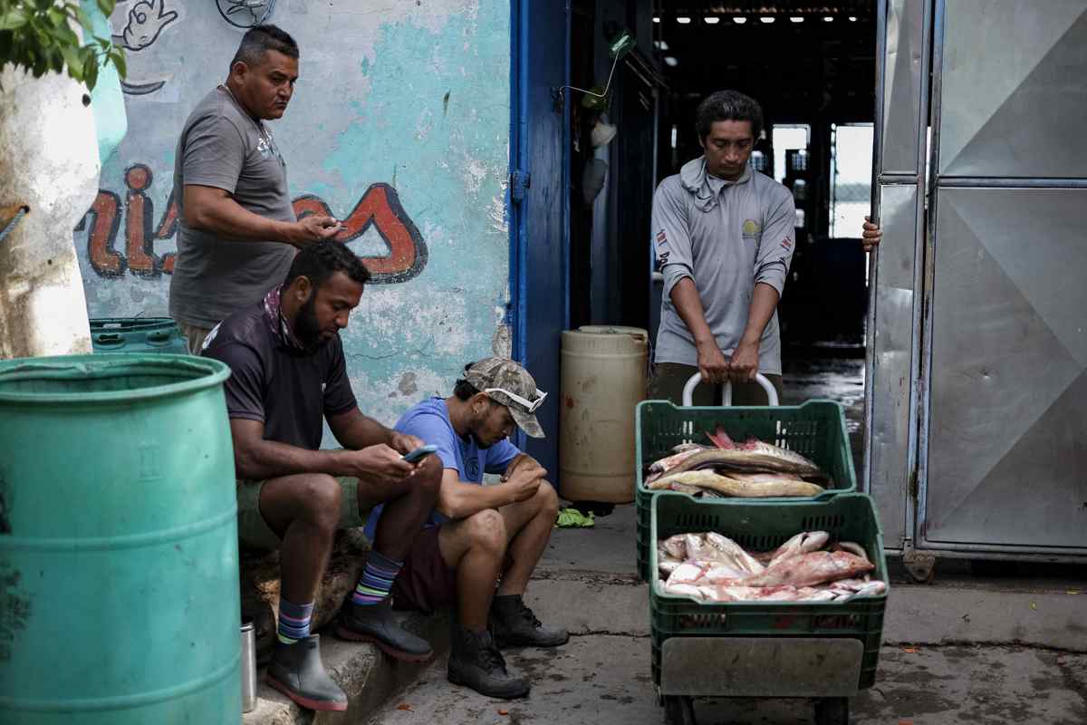 Producción pesquera mundial marca récord con el reto de impulsar la seguridad alimentaria