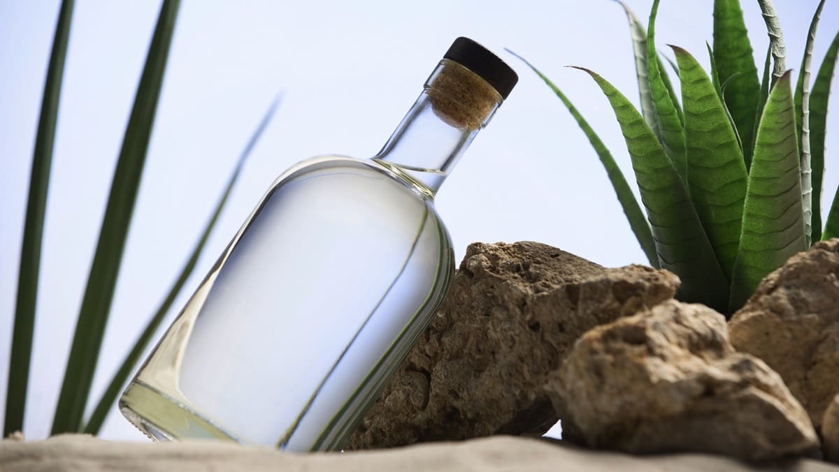 Diageo se vale de la inteligencia artificial para cumplir con sus metas de sostenibilidad