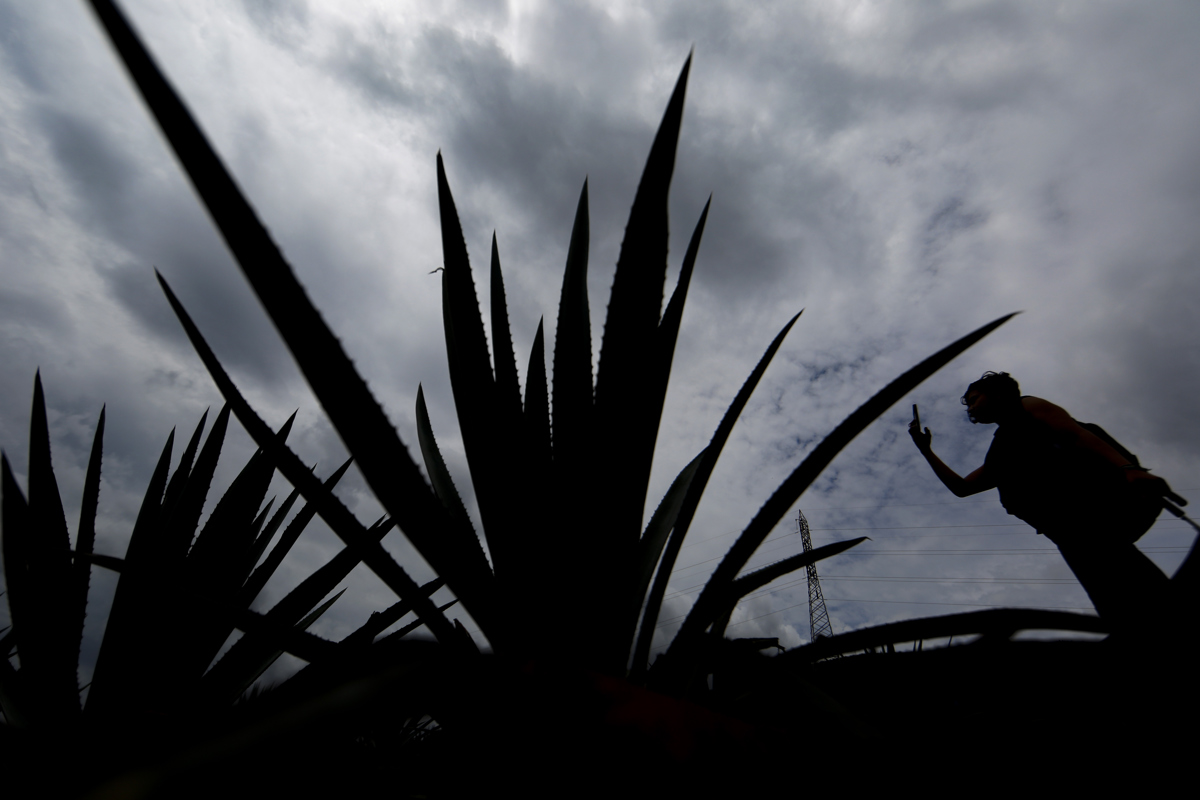 México y Brasil sellan un pacto de cooperación agroalimentaria y de biocombustibles