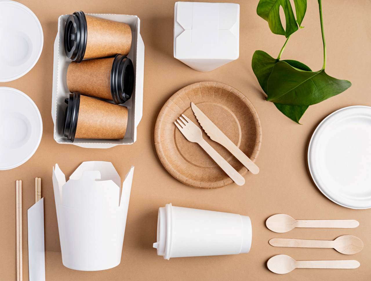Tendencias en envases biodegradables y compostables en 2024
