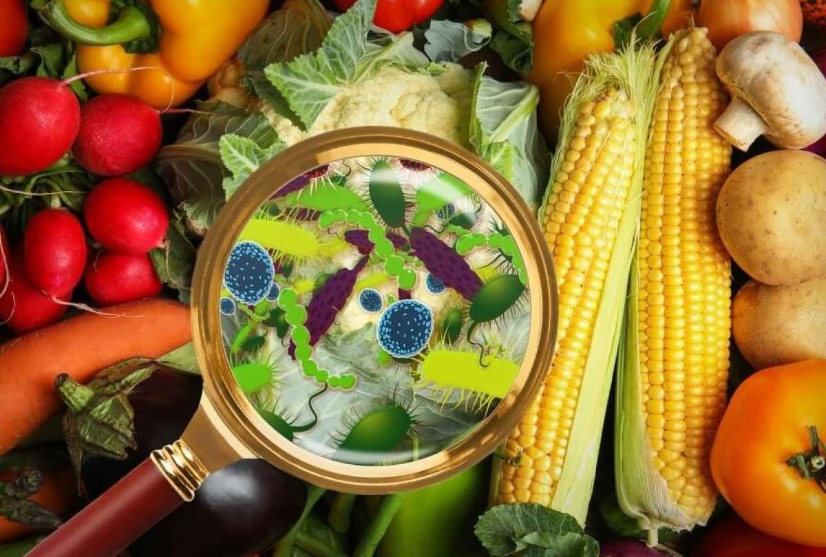 Prevenir enfermedades por contaminación de alimentos, un reto para la industria alimentaria