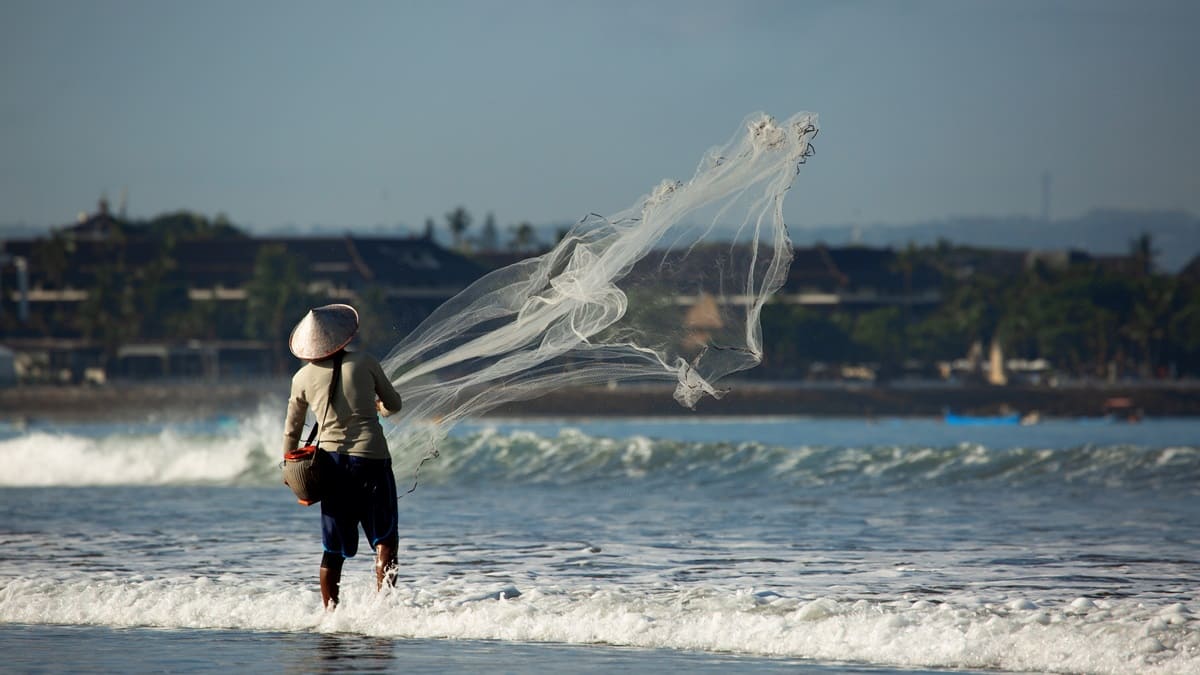 Pesca sostenible, clave para garantizar la seguridad alimentaria