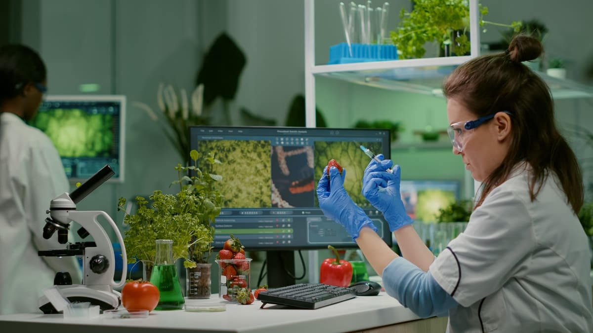 Investigadores chinos desarrollan motor de búsqueda para explorar la genética de cultivos para mejorar la nutrición
