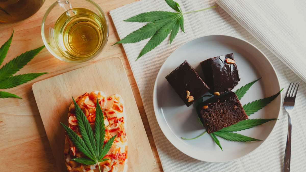 Celebra Estados Unidos el Día Nacional del CBD, compuesto derivado del cannabis