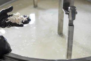 imagen de la industria de los lácteos fermentados