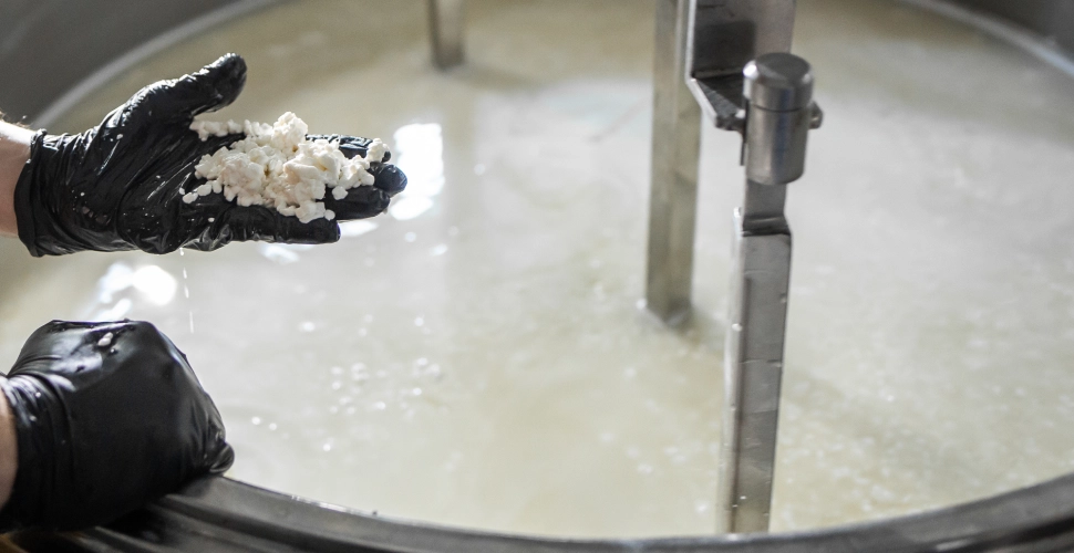 imagen de la industria de los lácteos fermentados